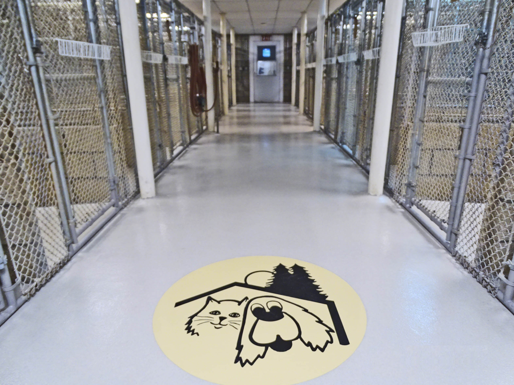 About Cassio Pet Resort & Training Center